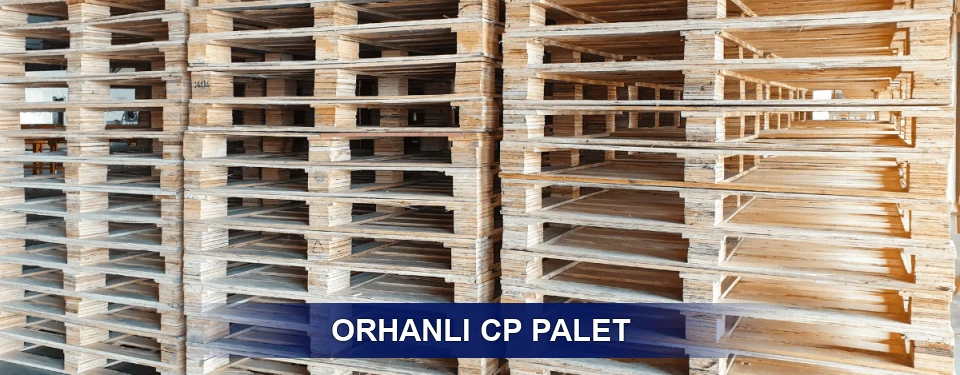 Orhanlı Standart Tipler